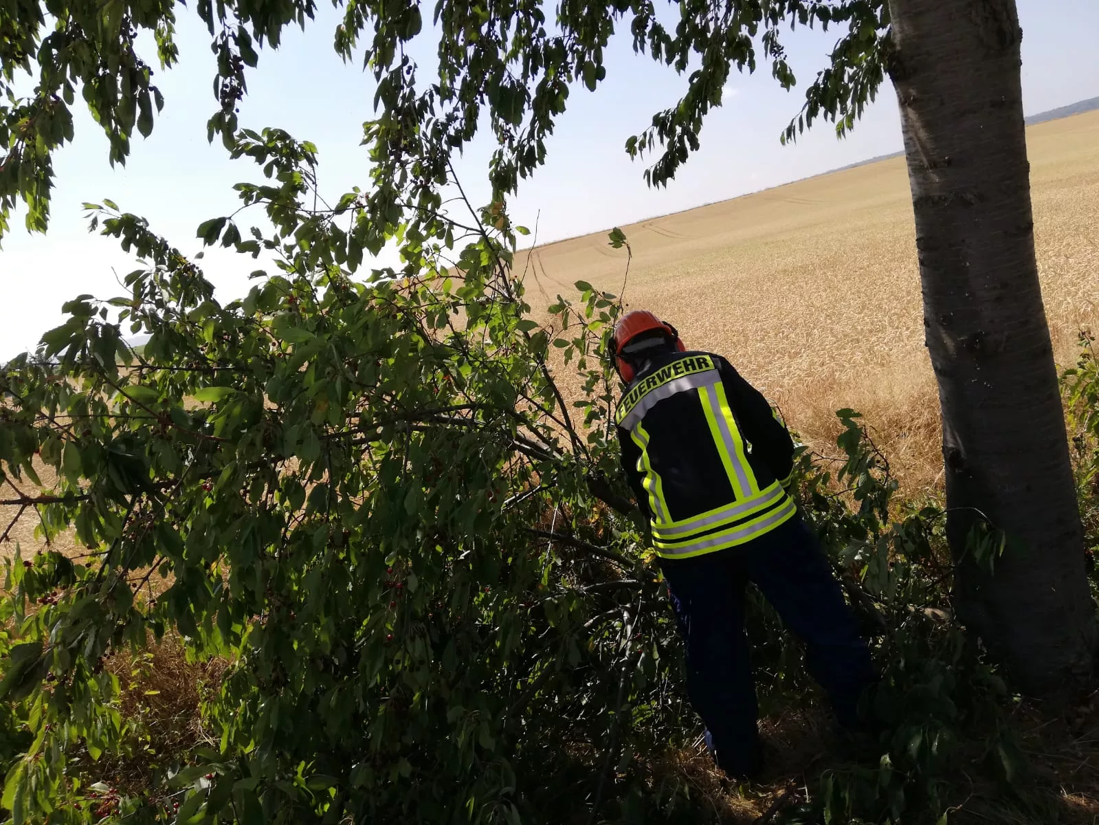 Sturmschaden am Freitagnachmittag