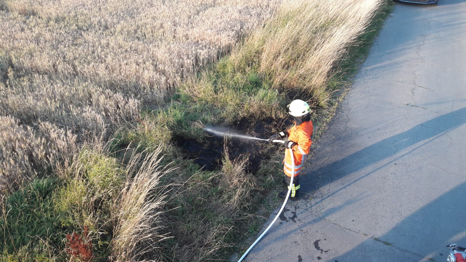 Frühe Entdeckung verhindert schlimmeres