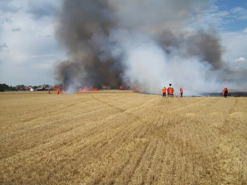 Weizenfeld bei Ostharingen gerät in Brand