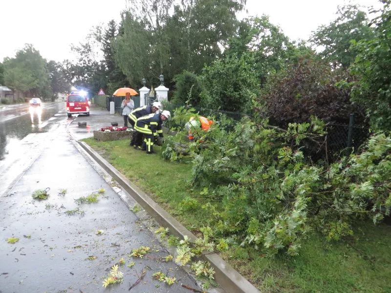 Baum an der L 500 umgestürzt