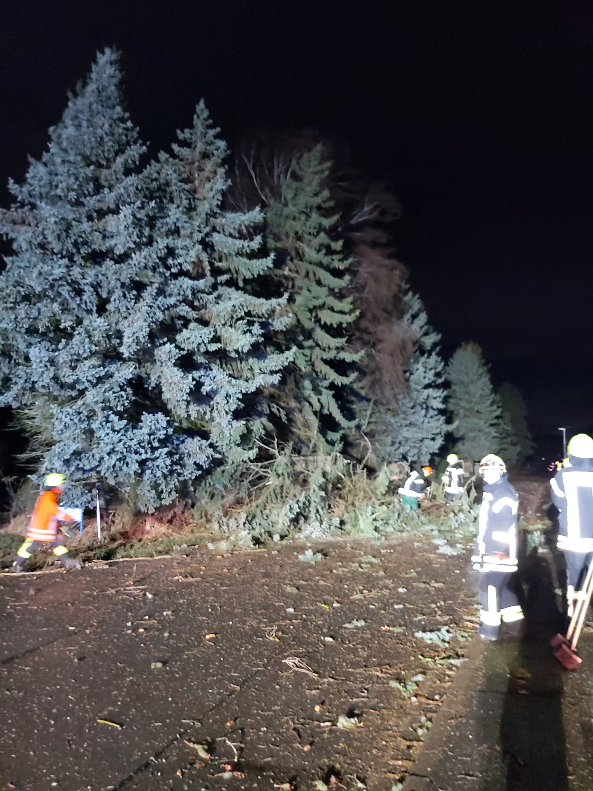 Mehrere Einsätze nach Sturm