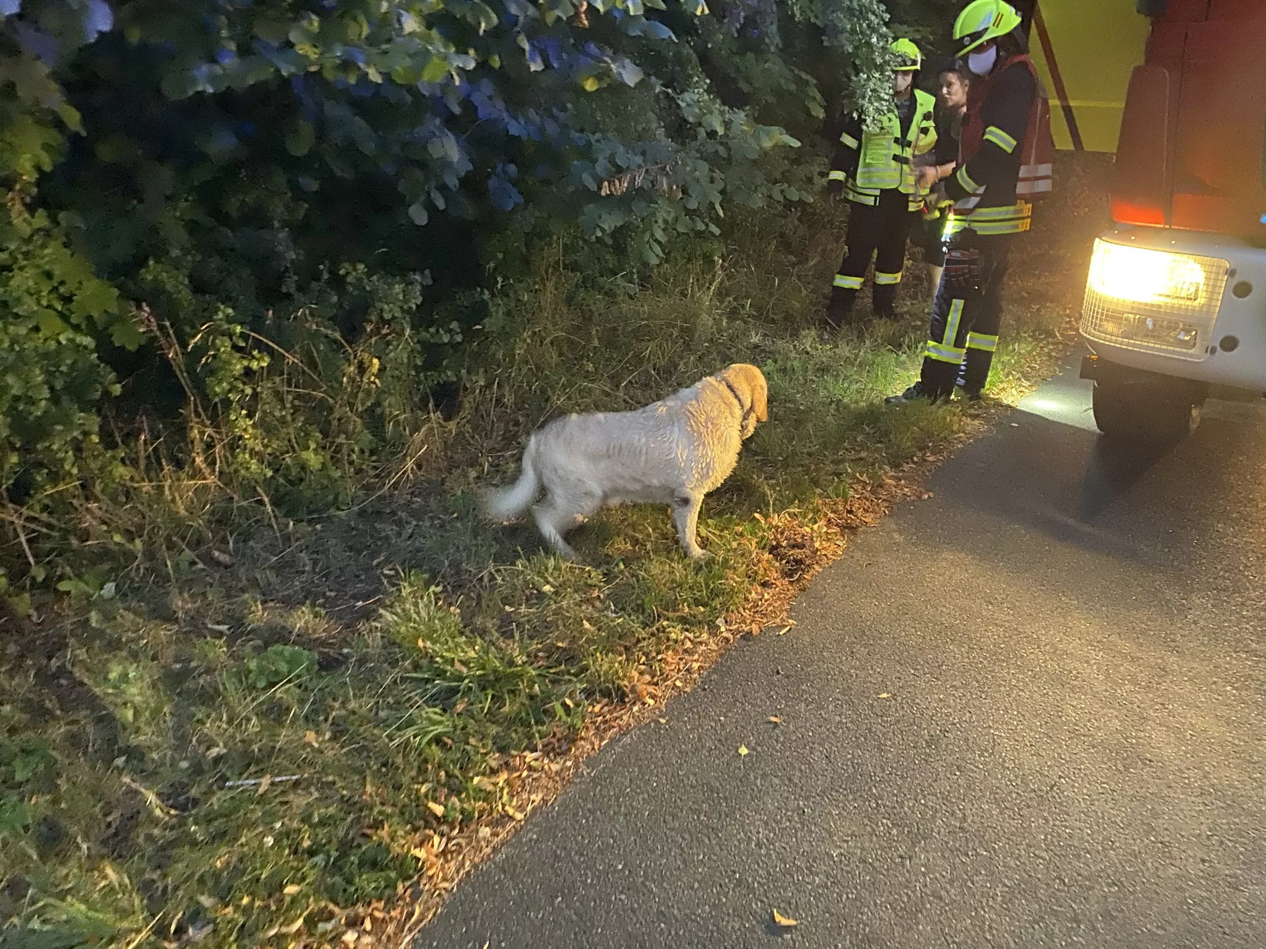 Tierrettung aus Gewässer