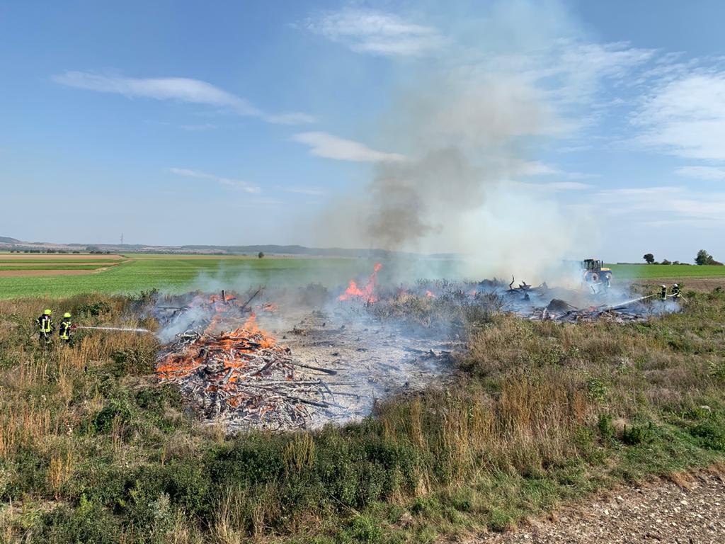 Vegetationsbrand am Harhof