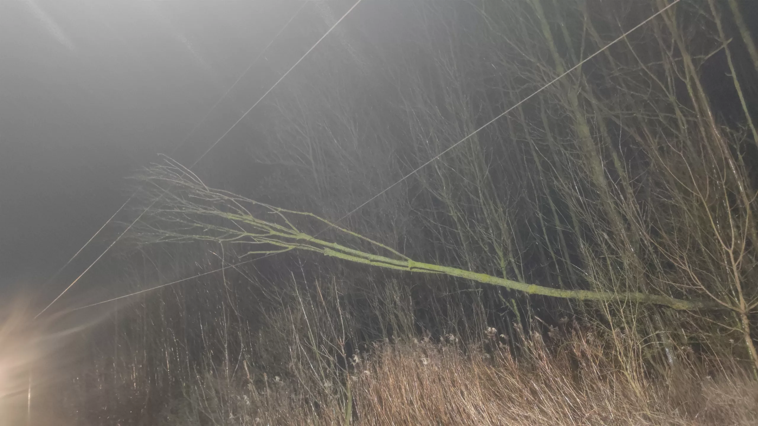 Sturmschaden und ein gemeldeter Verkehrsunfall auf der B6