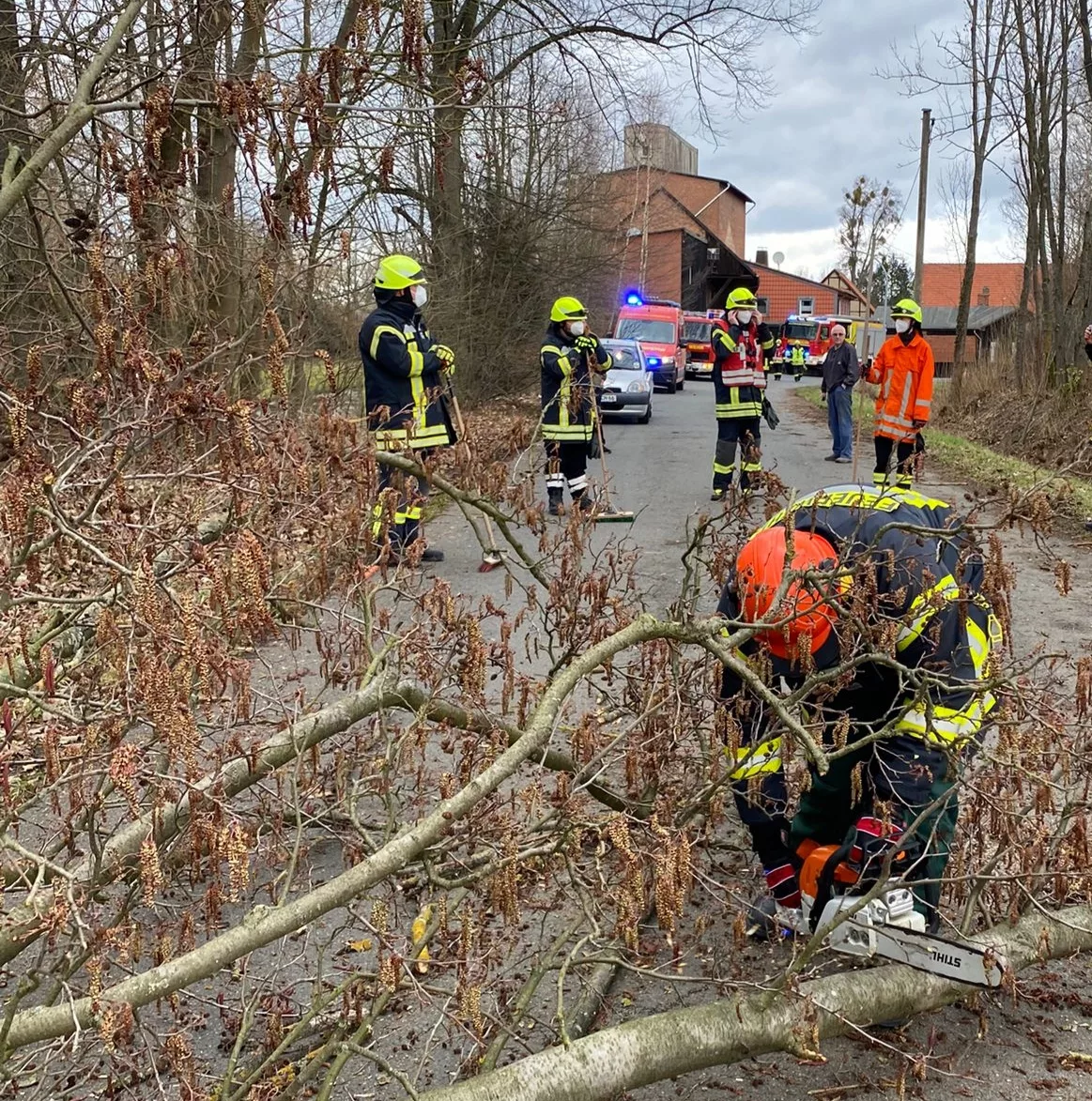 Weitere Sturmschäden